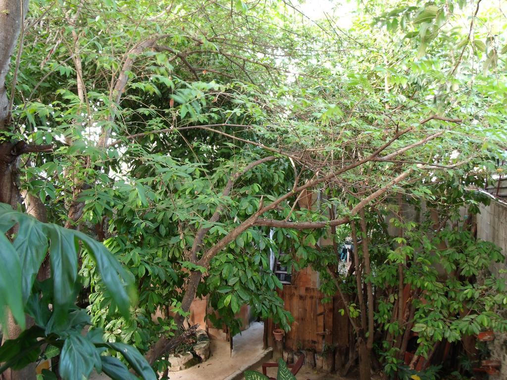 Casitas Kinsol Ξενοδοχείο Puerto Morelos Εξωτερικό φωτογραφία