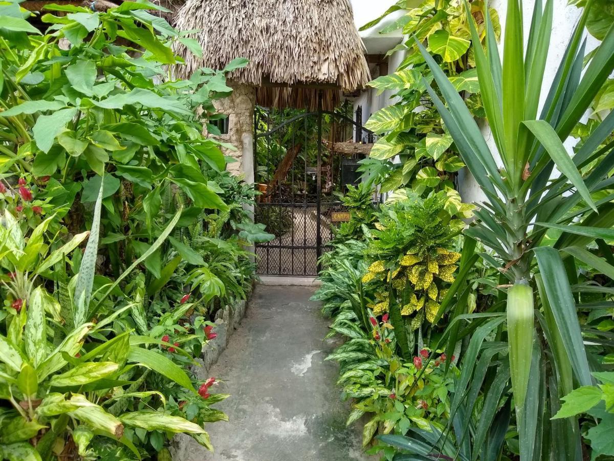Casitas Kinsol Ξενοδοχείο Puerto Morelos Εξωτερικό φωτογραφία
