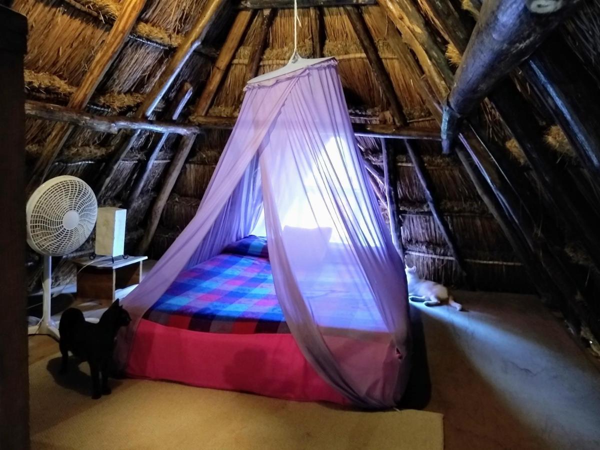 Casitas Kinsol Ξενοδοχείο Puerto Morelos Εξωτερικό φωτογραφία