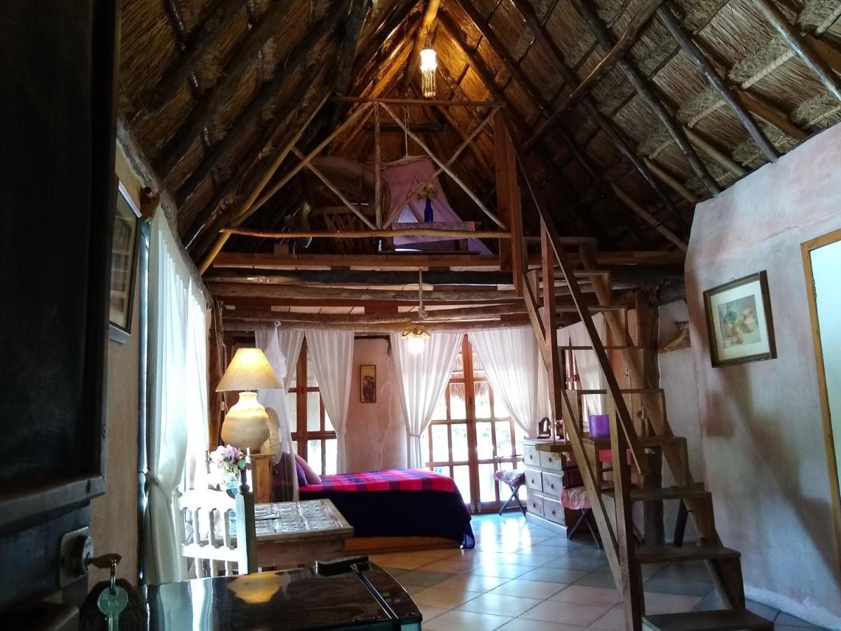 Casitas Kinsol Ξενοδοχείο Puerto Morelos Εξωτερικό φωτογραφία