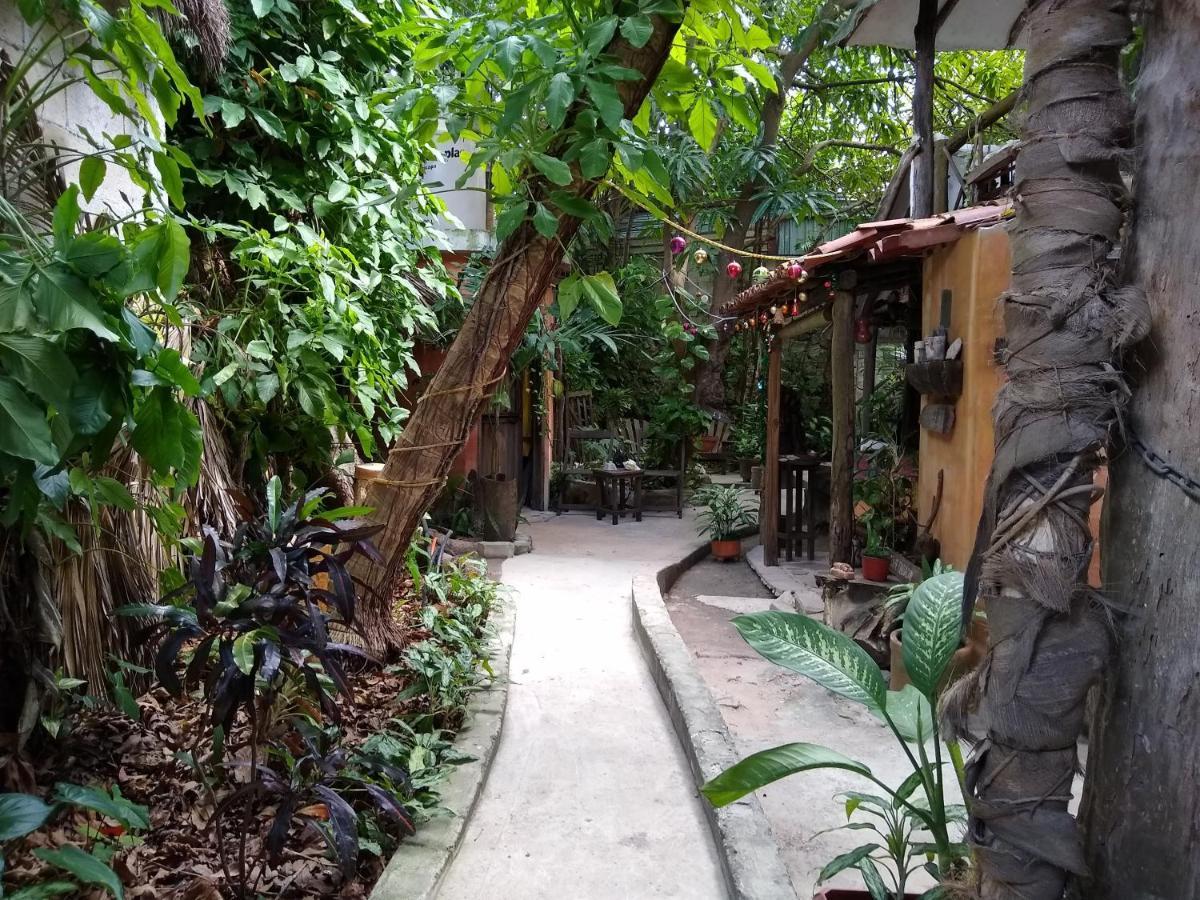 Casitas Kinsol Ξενοδοχείο Puerto Morelos Εξωτερικό φωτογραφία