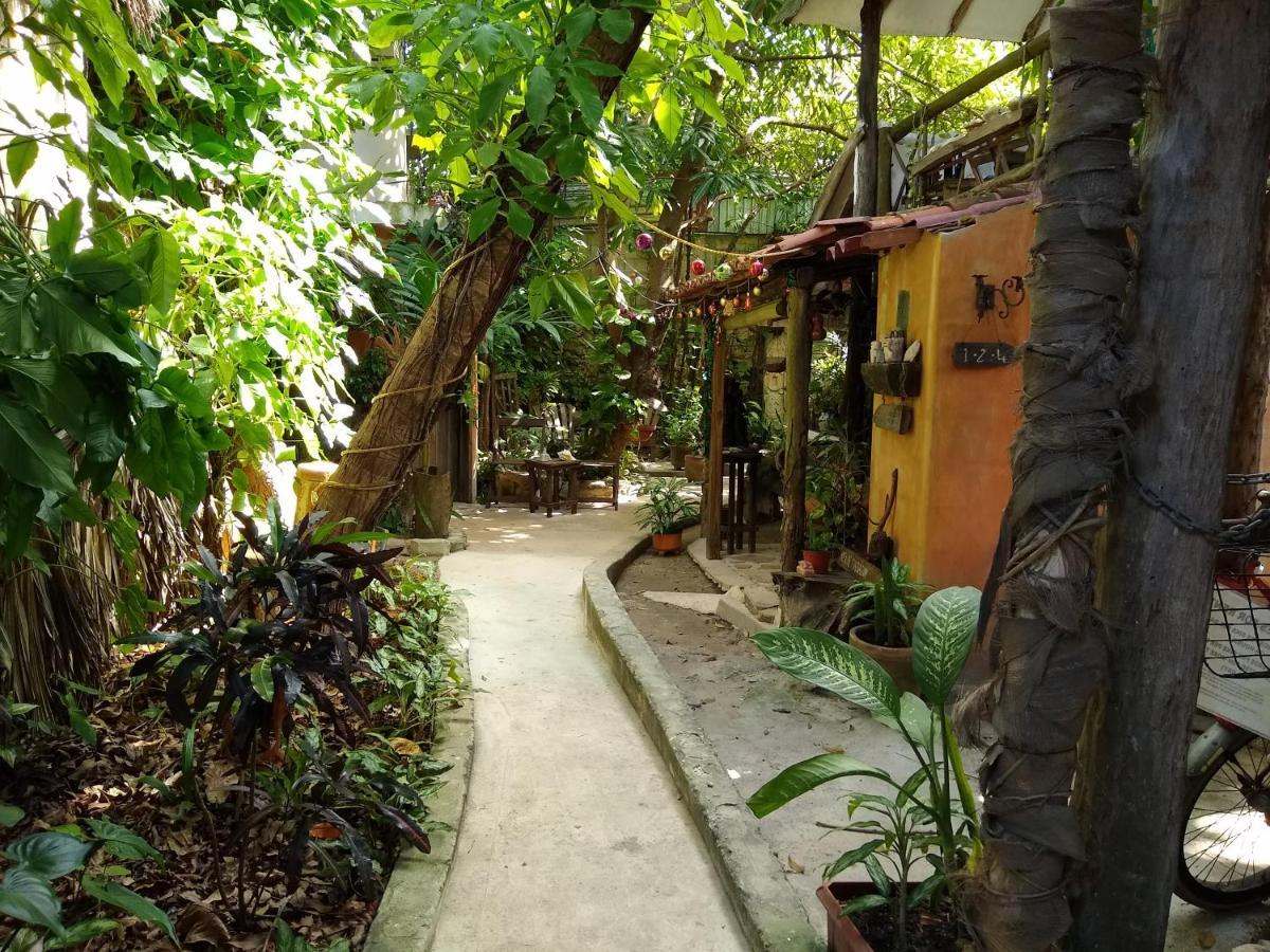 Casitas Kinsol Ξενοδοχείο Puerto Morelos Εξωτερικό φωτογραφία
