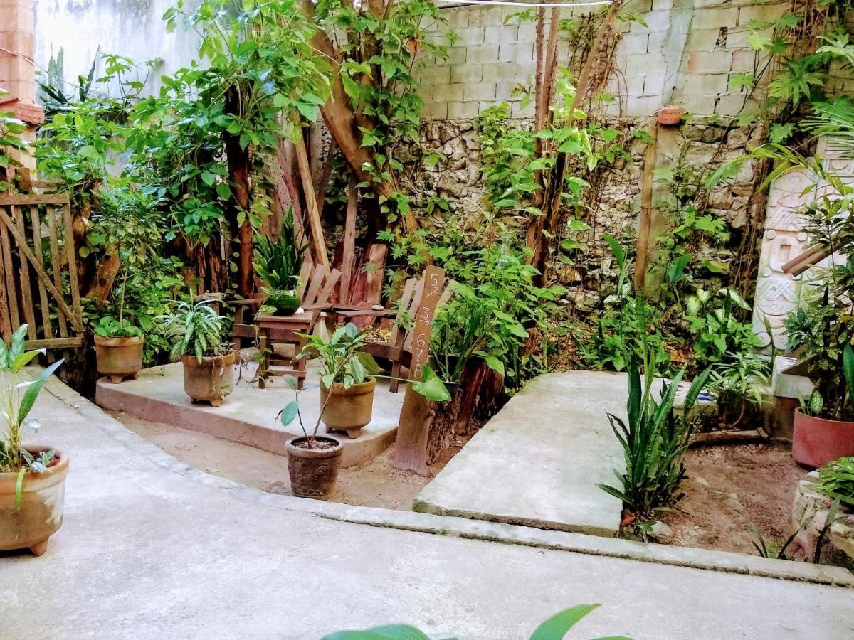 Casitas Kinsol Ξενοδοχείο Puerto Morelos Εξωτερικό φωτογραφία