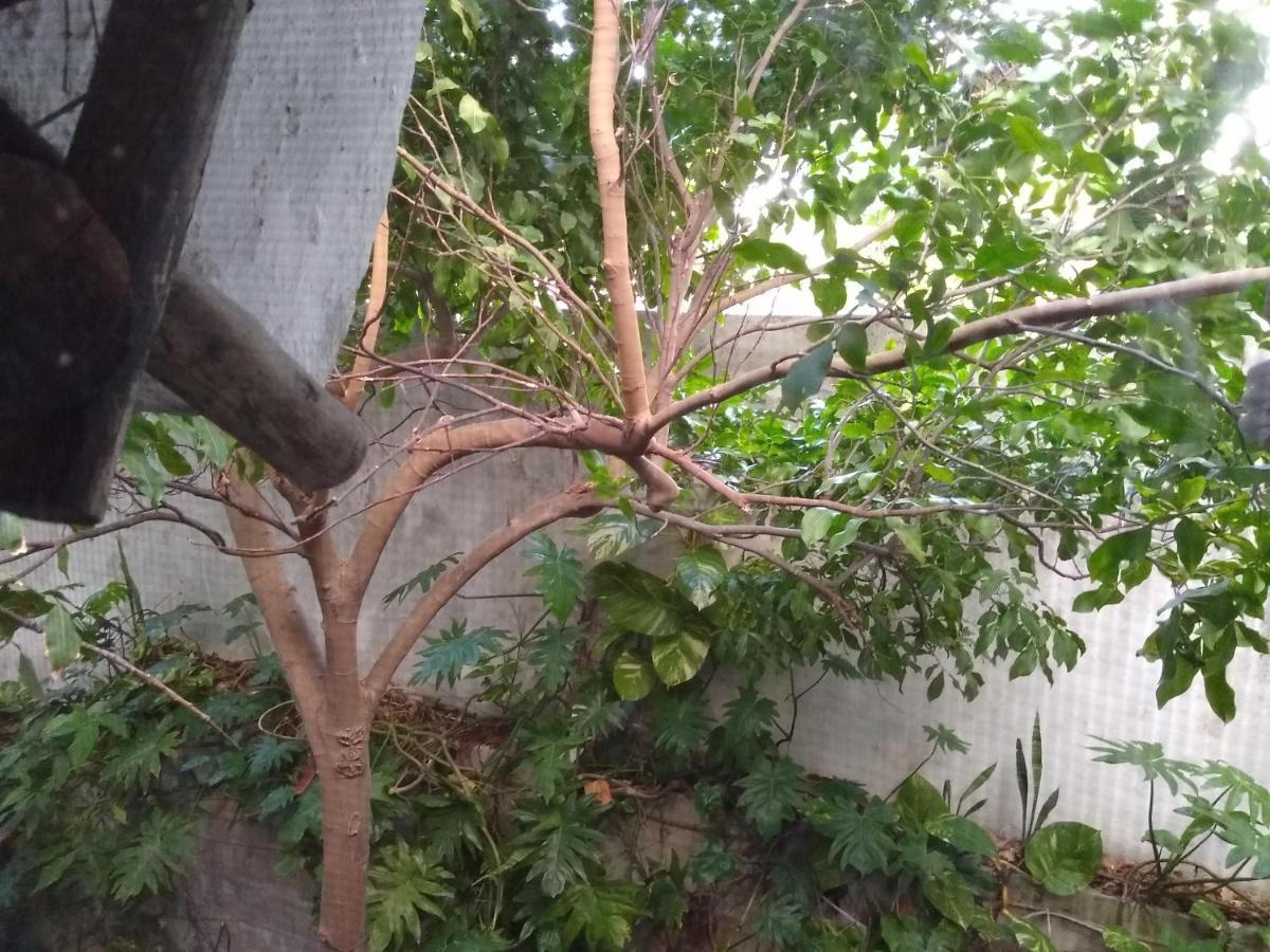 Casitas Kinsol Ξενοδοχείο Puerto Morelos Εξωτερικό φωτογραφία