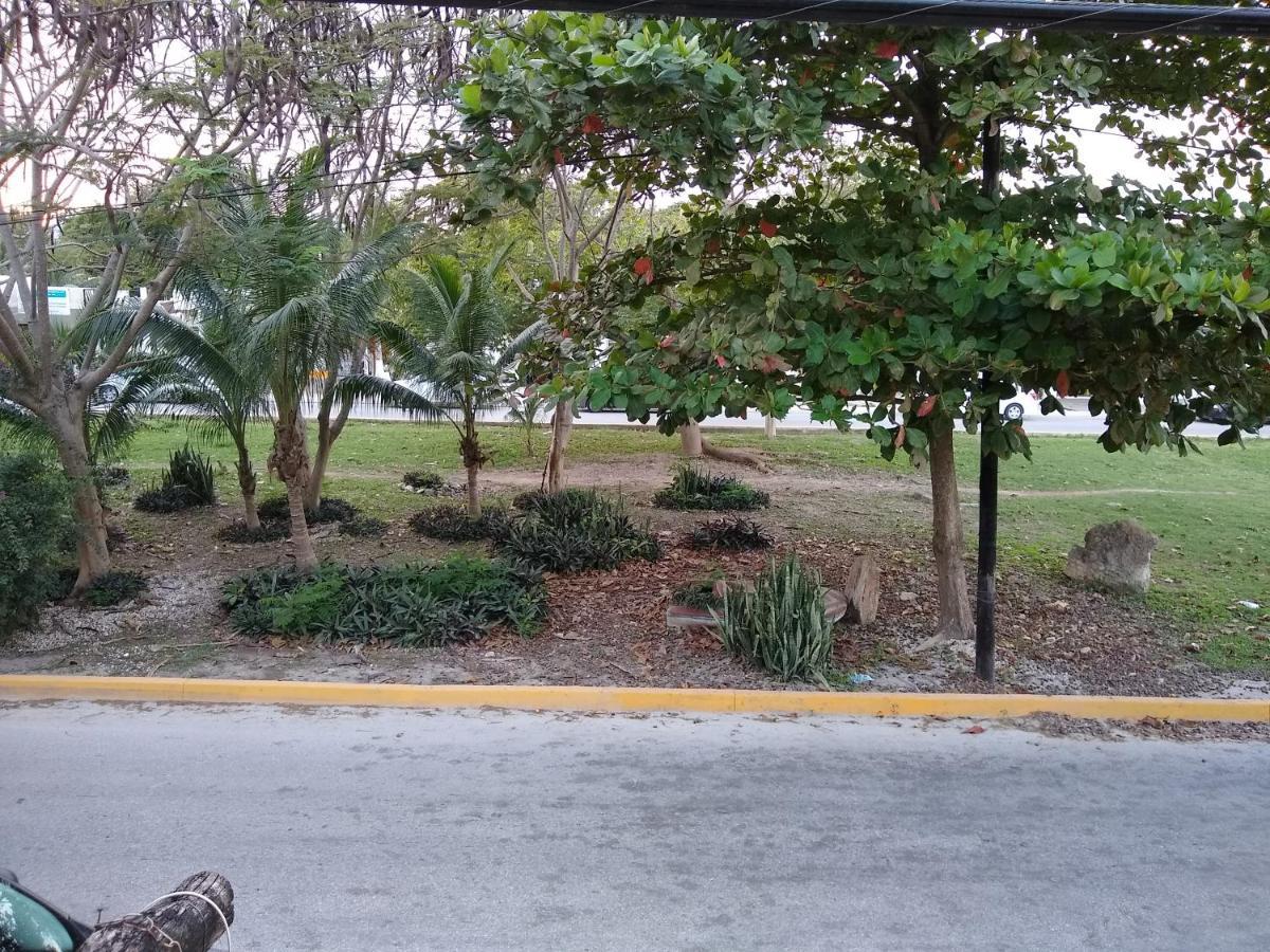 Casitas Kinsol Ξενοδοχείο Puerto Morelos Εξωτερικό φωτογραφία